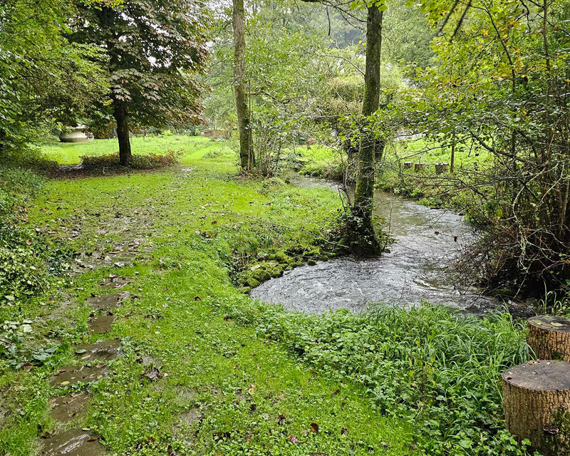 Cours d'eau