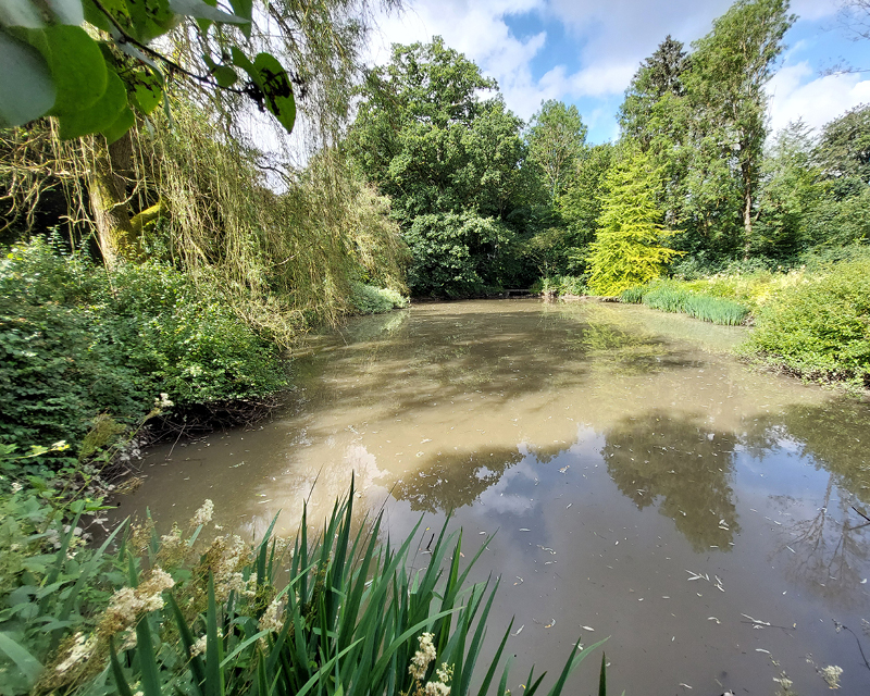 Etang
