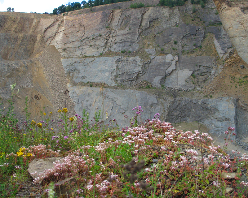 Falaise ou carrière