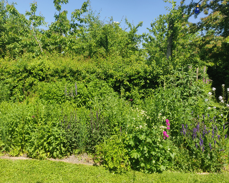 Parterres fleuris mixtes