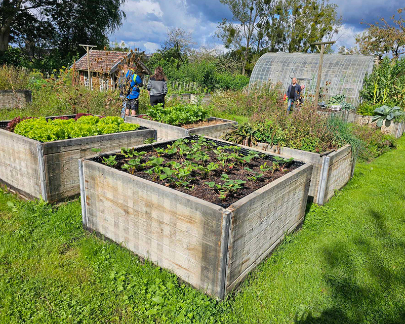 Potager en bacs