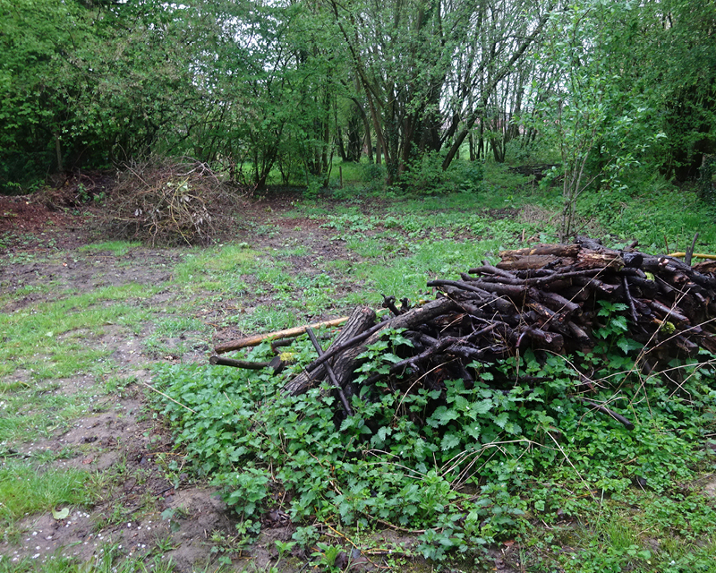 Tas de bois ou de feuilles mortes